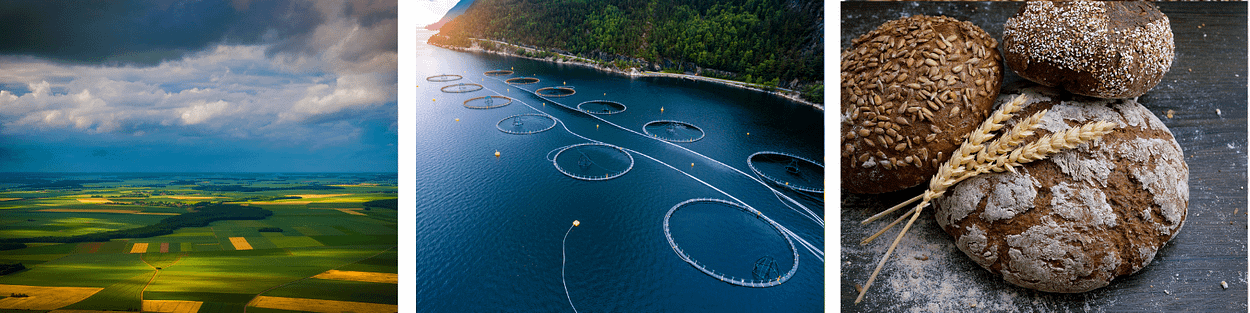 Agribusiness Aquaculture and Food Manufacturing